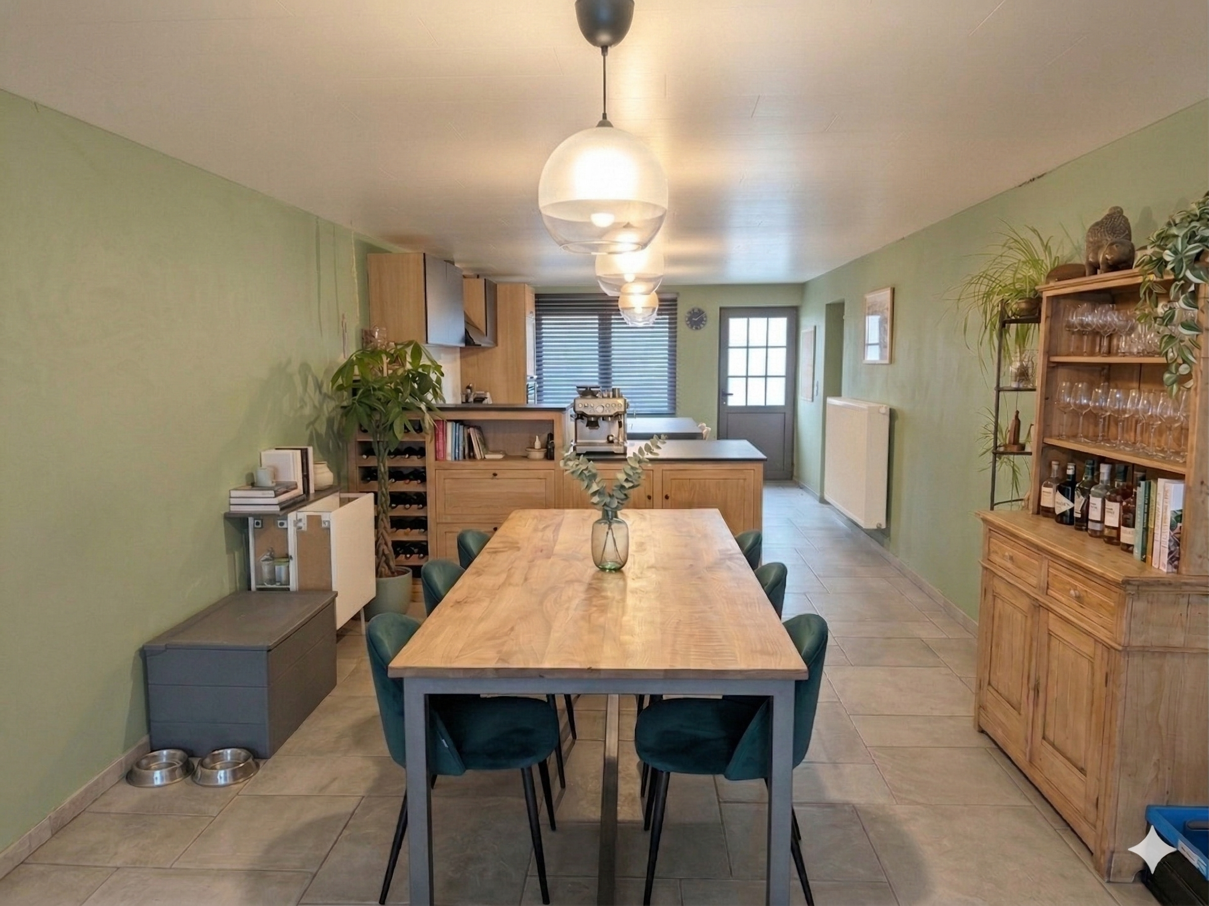 Sauge jaune — vue salle à manger