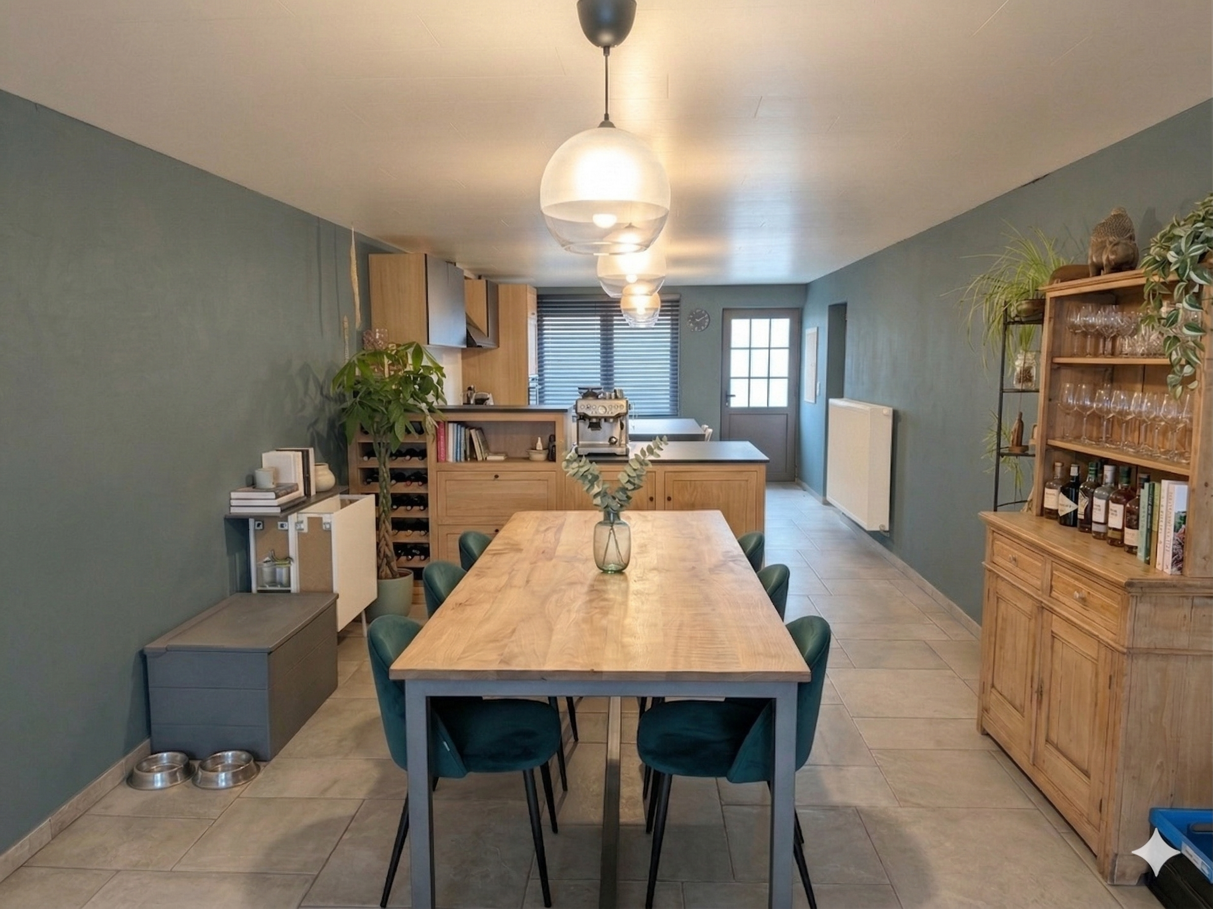 Eucalyptus bleuté — vue salle à manger